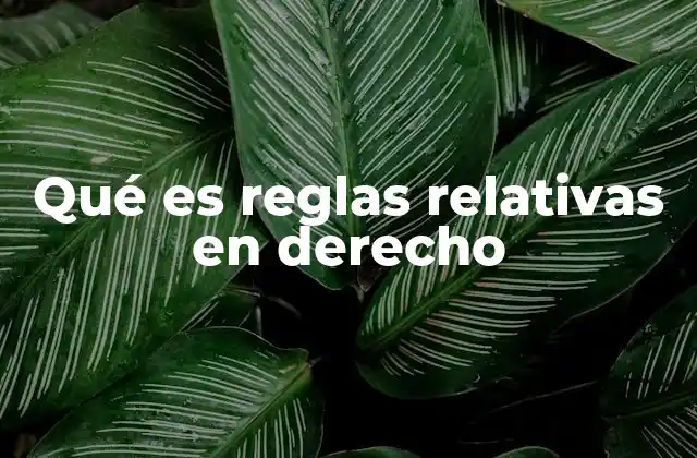 Qué es Reglas Relativas en Derecho