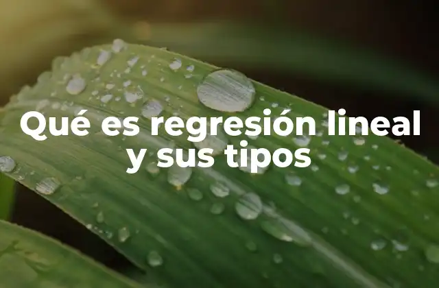 Qué es Regresión Lineal y Sus Tipos