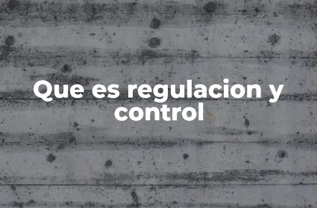 Que es Regulacion y Control