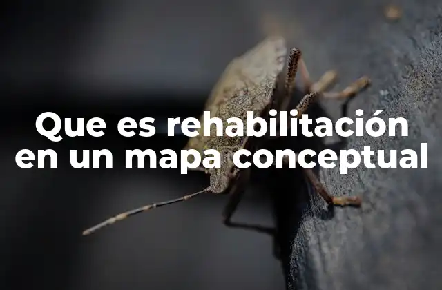 Que es Rehabilitación en un Mapa Conceptual