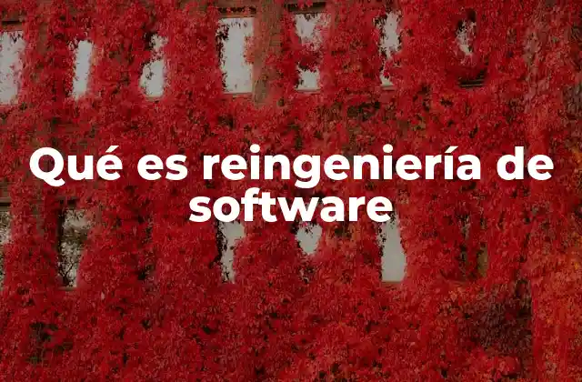 Qué es Reingeniería de Software