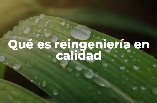 Qué es Reingeniería en Calidad
