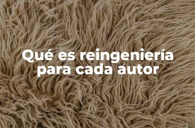 Qué es Reingeniería para Cada Autor