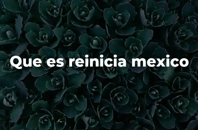 Que es Reinicia Mexico