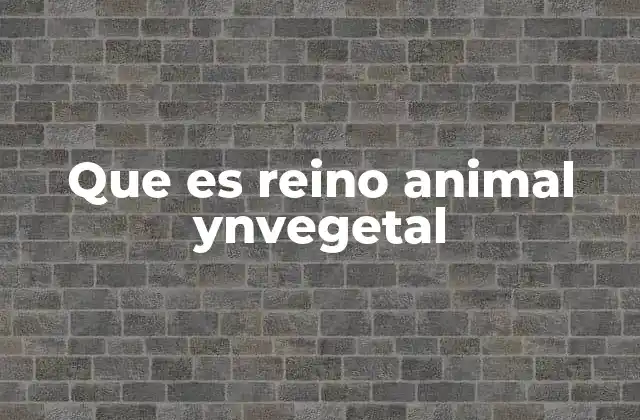 Que es Reino Animal Ynvegetal