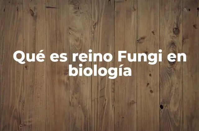 Qué es Reino Fungi en Biología