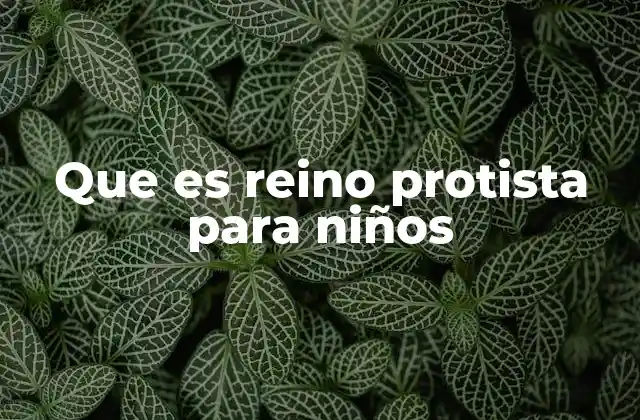 Que es Reino Protista para Niños