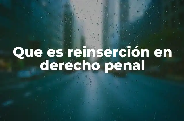 Que es Reinserción en Derecho Penal
