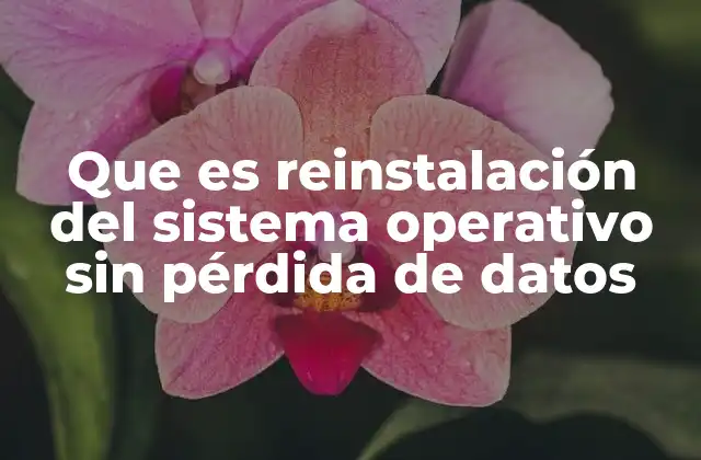 Que es Reinstalación Del Sistema Operativo sin Pérdida de Datos 2 Cómo se logra mantener los datos intactos durante la reinstalación