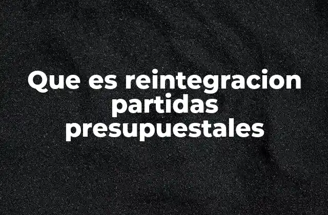 Que es Reintegracion Partidas Presupuestales