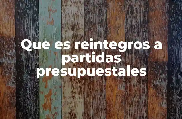 Que es Reintegros a Partidas Presupuestales