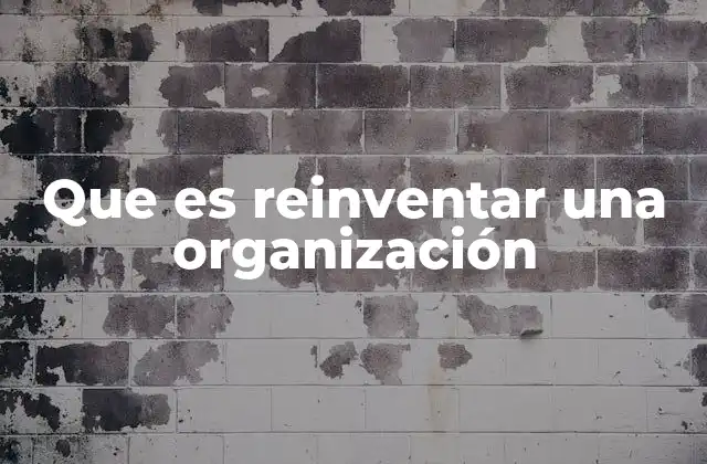 Que es Reinventar una Organización