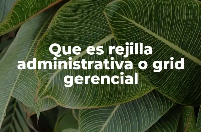 Que es Rejilla Administrativa o Grid Gerencial 2 La importancia del equilibrio en el liderazgo