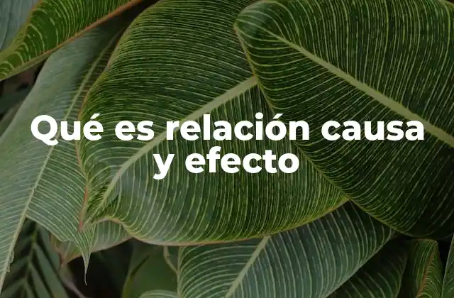 Qué es Relación Causa y Efecto
