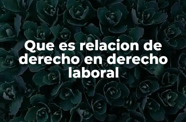 Que es Relacion de Derecho en Derecho Laboral 2 El papel de las relaciones de derecho en el marco laboral