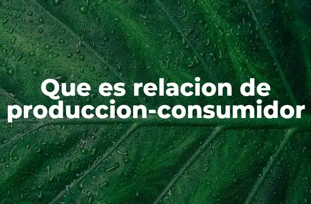Que es Relacion de Produccion-consumidor 2 La dinámica entre el flujo de bienes y el comportamiento del mercado