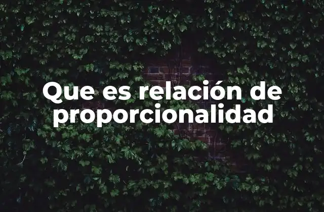 Que es Relación de Proporcionalidad
