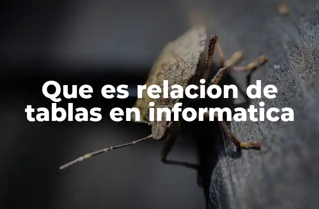 Que es Relacion de Tablas en Informatica