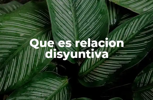 Que es Relacion Disyuntiva