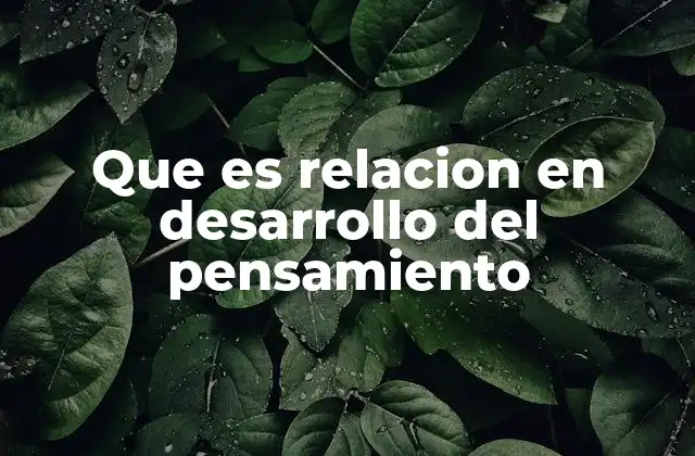 Que es Relacion en Desarrollo Del Pensamiento
