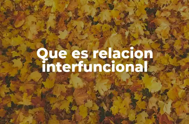 Que es Relacion Interfuncional