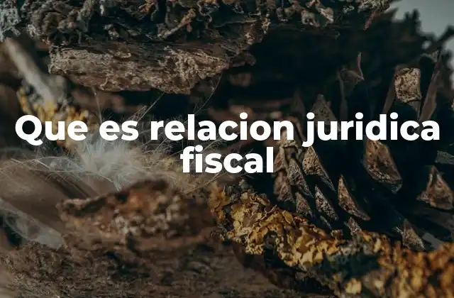 Que es Relacion Juridica Fiscal