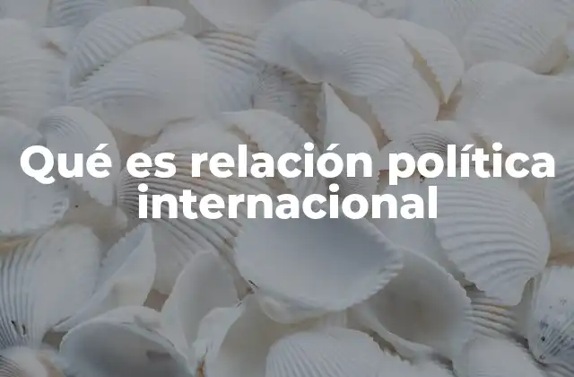 Qué es Relación Política Internacional