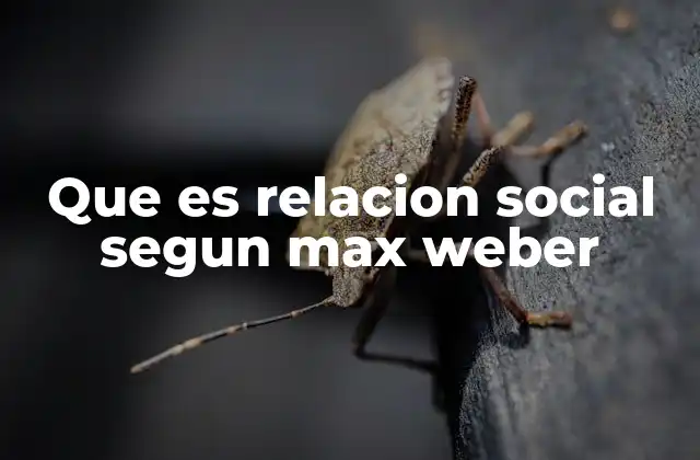 Que es Relacion Social Segun Max Weber