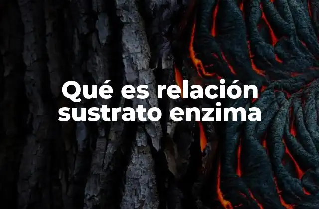 Qué es Relación Sustrato Enzima