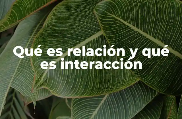 Qué es Relación y Qué es Interacción