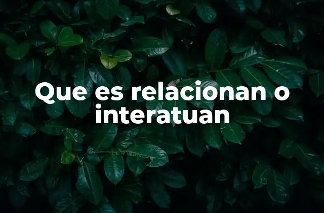 Que es Relacionan o Interatuan
