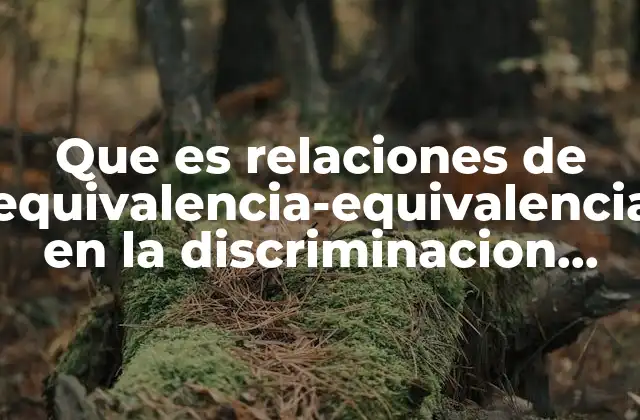 Que es Relaciones de Equivalencia-equivalencia en la Discriminacion Condicional