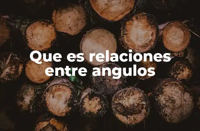 Que es Relaciones entre Angulos