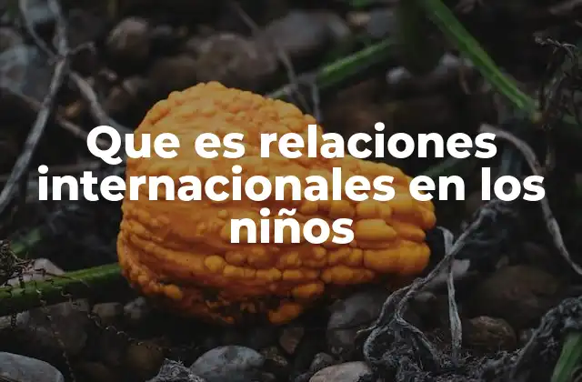 Que es Relaciones Internacionales en los Niños