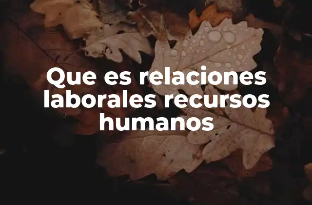 Que es Relaciones Laborales Recursos Humanos