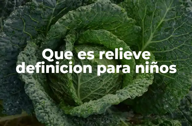 Cómo los niños pueden entender el relieve a través del mundo que les rodea