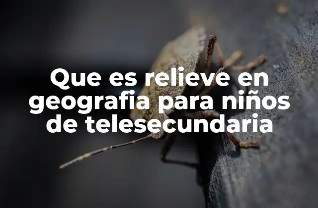 Que es Relieve en Geografia para Niños de Telesecundaria