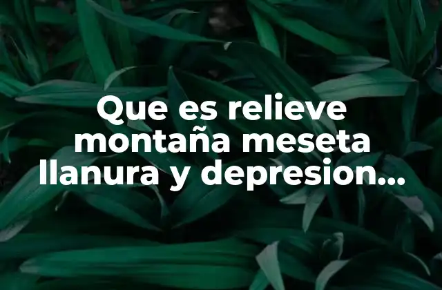 Que es Relieve Montaña Meseta Llanura y Depresion para Niños