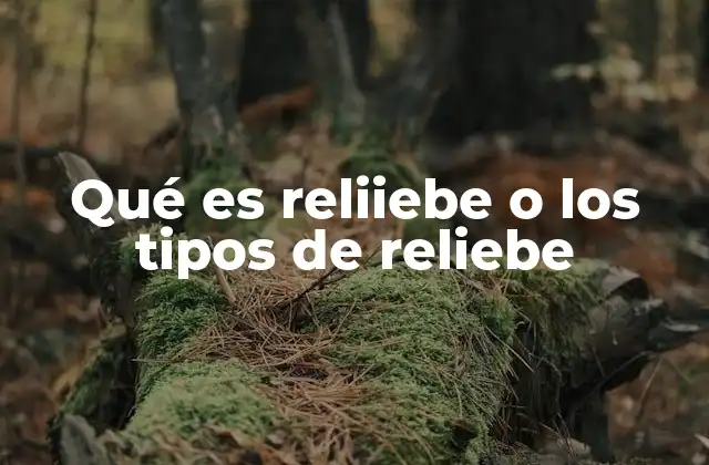 Qué es Reliiebe o los Tipos de Reliebe