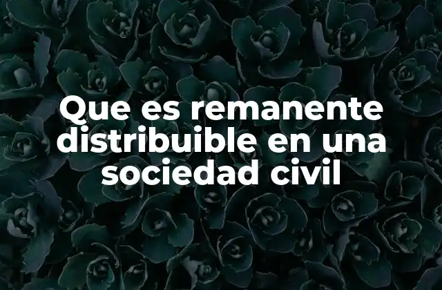 Que es Remanente Distribuible en una Sociedad Civil