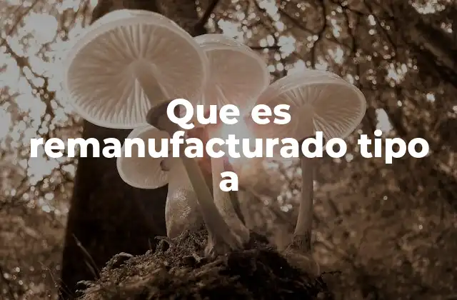 Que es Remanufacturado Tipo a