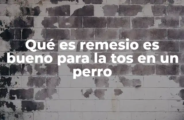 Qué es Remesio es Bueno para la Tos en un Perro