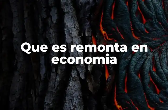 Que es Remonta en Economia
