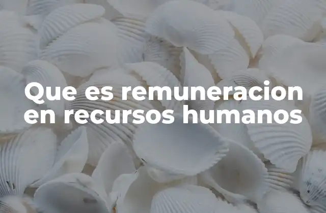 Que es Remuneracion en Recursos Humanos