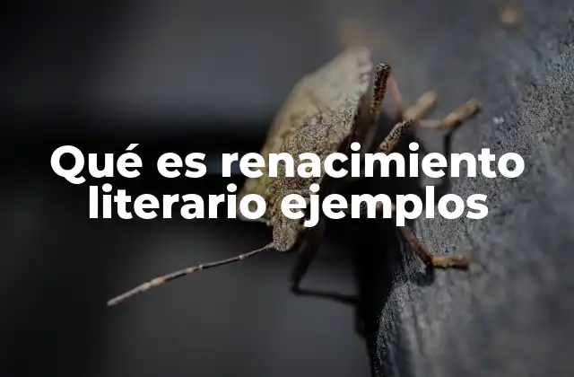 Qué es Renacimiento Literario Ejemplos