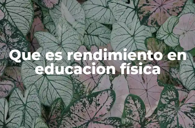 Que es Rendimiento en Educacion Física