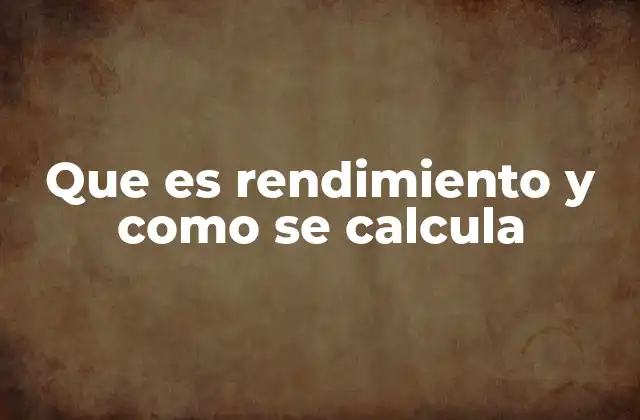 Que es Rendimiento y como Se Calcula