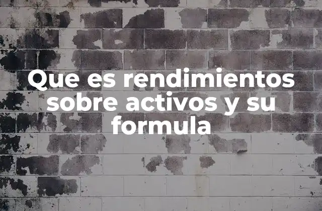 Que es Rendimientos sobre Activos y Su Formula