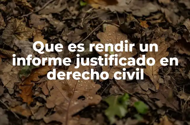 Que es Rendir un Informe Justificado en Derecho Civil