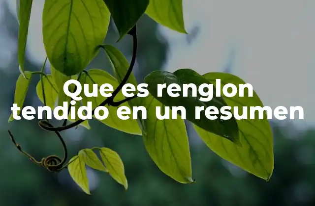 Que es Renglon Tendido en un Resumen